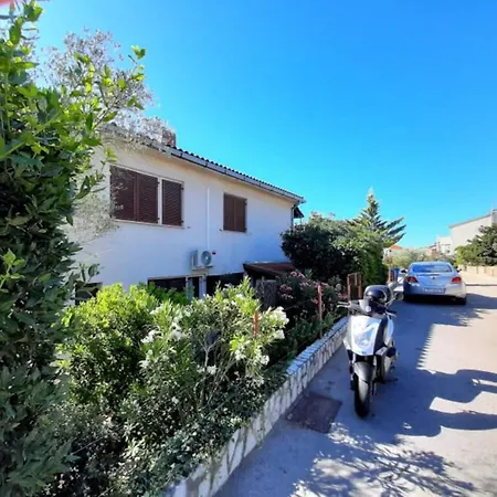 Goldie In The Center Of Krk * Krk Town
