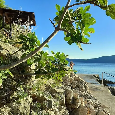 Goldie In The Center Of Krk Maison d'hôtes Krk Town